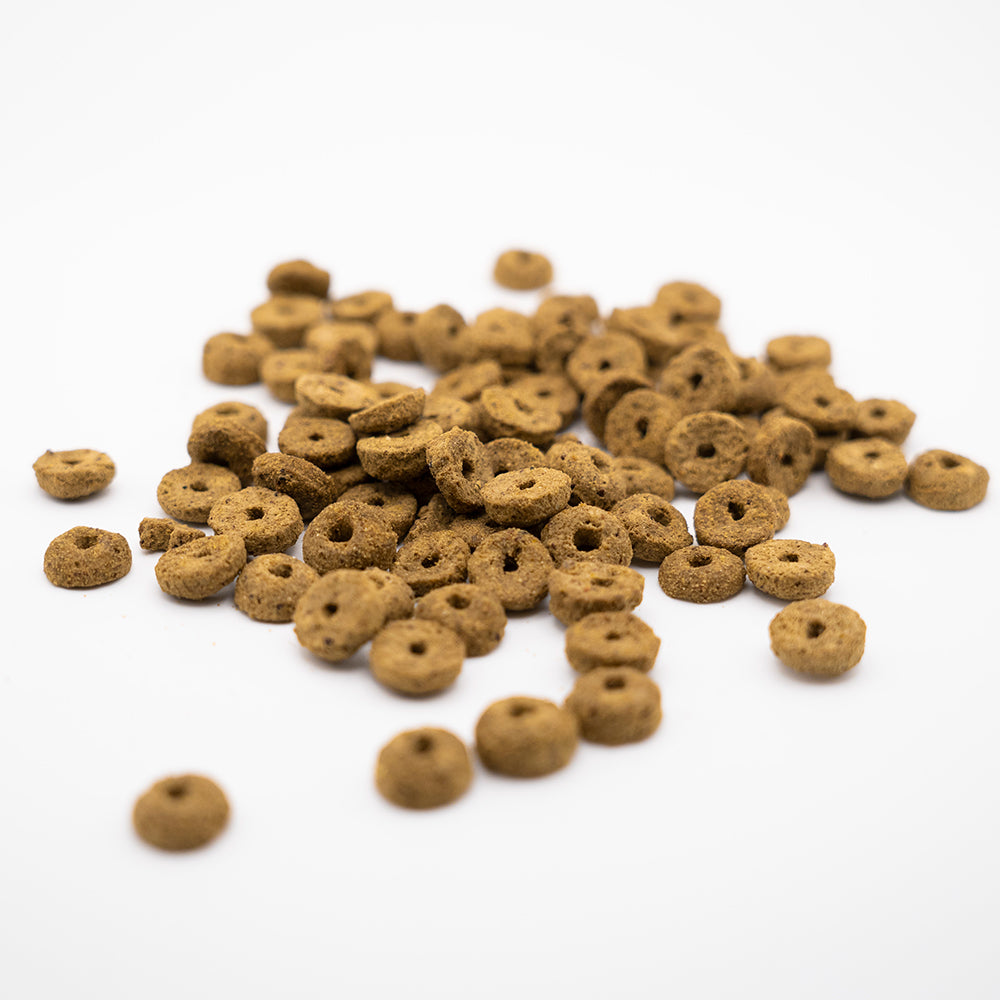 5kg Predator Bites Junior