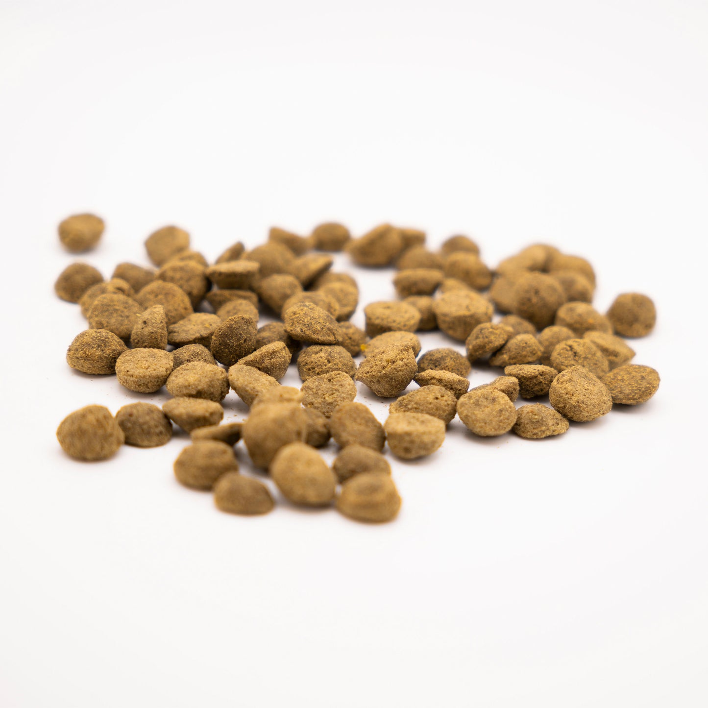 12,5 kg Insekt - Predator Bites